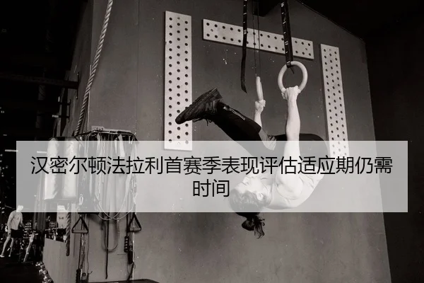 汉密尔顿法拉利首赛季表现评估适应期仍需时间